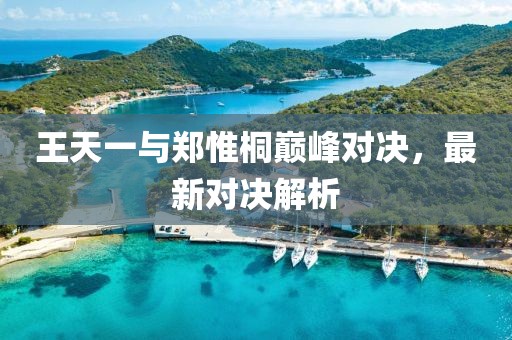 王天一與鄭惟桐巔峰對(duì)決，最新對(duì)決解析