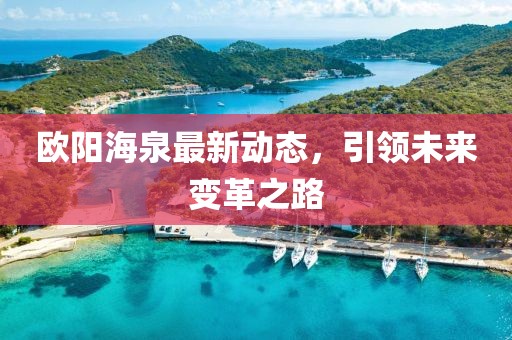 歐陽(yáng)海泉最新動(dòng)態(tài)，引領(lǐng)未來(lái)變革之路