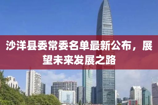 沙洋縣委常委名單最新公布，展望未來發(fā)展之路
