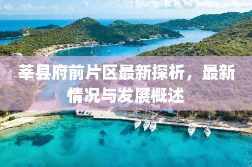 莘縣府前片區(qū)最新探析，最新情況與發(fā)展概述