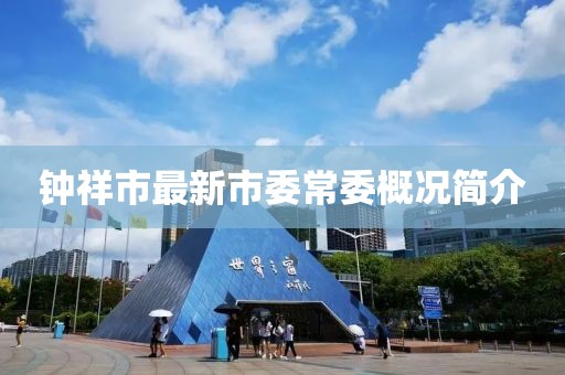 鐘祥市最新市委常委概況簡介