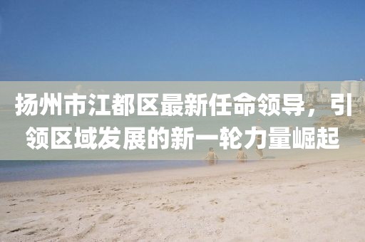 揚(yáng)州市江都區(qū)最新任命領(lǐng)導(dǎo)，引領(lǐng)區(qū)域發(fā)展的新一輪力量崛起