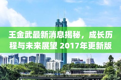 王金武最新消息揭秘，成長(zhǎng)歷程與未來(lái)展望 2017年更新版