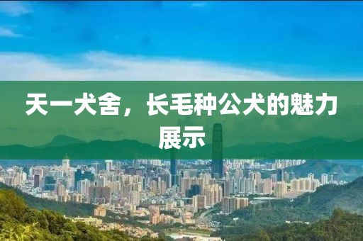 天一犬舍，長毛種公犬的魅力展示