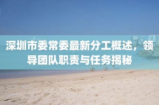 深圳市委常委最新分工概述，領(lǐng)導(dǎo)團(tuán)隊(duì)職責(zé)與任務(wù)揭秘