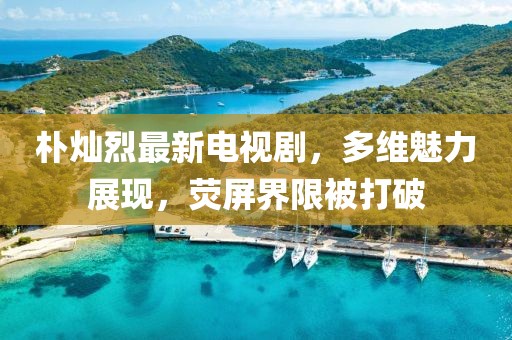 樸燦烈最新電視劇，多維魅力展現(xiàn)，熒屏界限被打破
