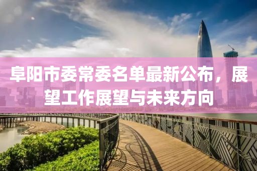 阜陽市委常委名單最新公布，展望工作展望與未來方向
