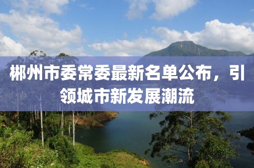 郴州市委常委最新名單公布，引領(lǐng)城市新發(fā)展潮流
