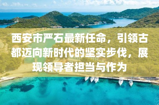 西安市嚴石最新任命，引領(lǐng)古都邁向新時代的堅實步伐，展現(xiàn)領(lǐng)導者擔當與作為
