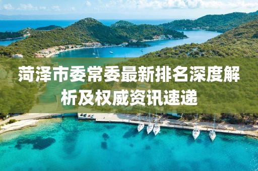 菏澤市委常委最新排名深度解析及權(quán)威資訊速遞