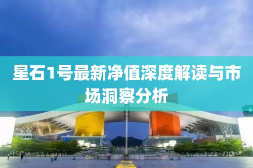 星石1號最新凈值深度解讀與市場洞察分析