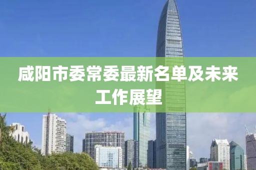 咸陽市委常委最新名單及未來工作展望