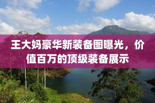 王大媽豪華新裝備圖曝光，價值百萬的頂級裝備展示