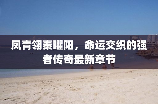 鳳青翎秦曜陽，命運(yùn)交織的強(qiáng)者傳奇最新章節(jié)