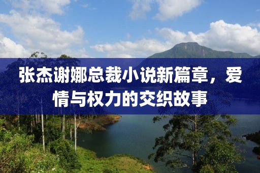 張杰謝娜總裁小說新篇章，愛情與權力的交織故事