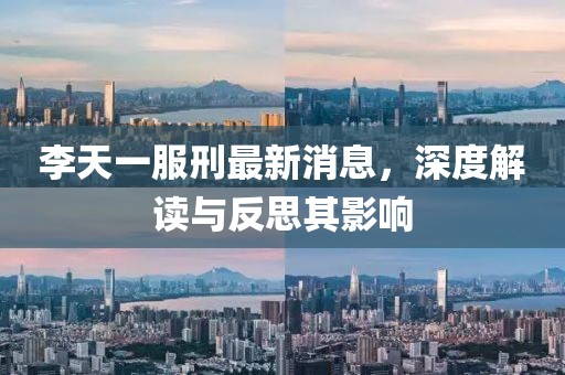李天一服刑最新消息，深度解讀與反思其影響