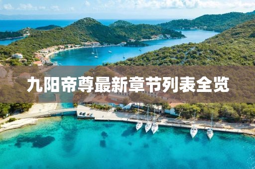 九陽帝尊最新章節(jié)列表全覽
