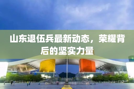 山東退伍兵最新動態(tài)，榮耀背后的堅實力量