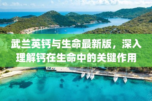 武蘭英鈣與生命最新版，深入理解鈣在生命中的關(guān)鍵作用