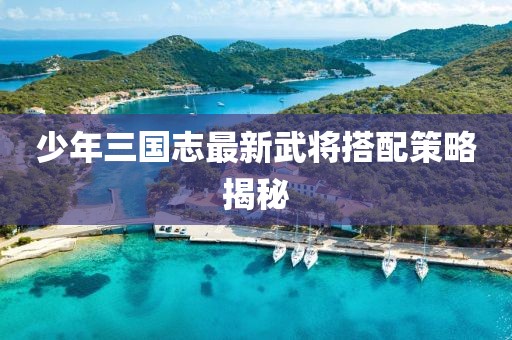 少年三國(guó)志最新武將搭配策略揭秘