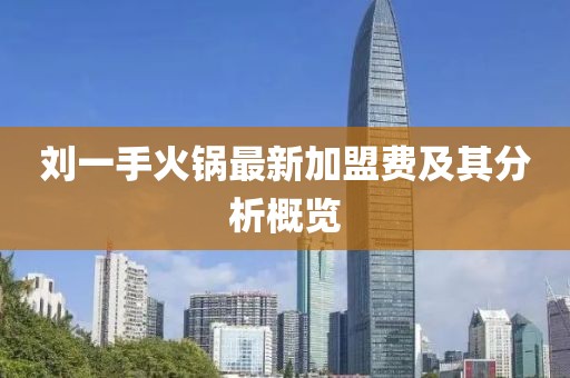 劉一手火鍋?zhàn)钚录用速M(fèi)及其分析概覽
