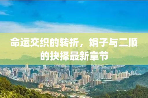 命運(yùn)交織的轉(zhuǎn)折，娟子與二順的抉擇最新章節(jié)