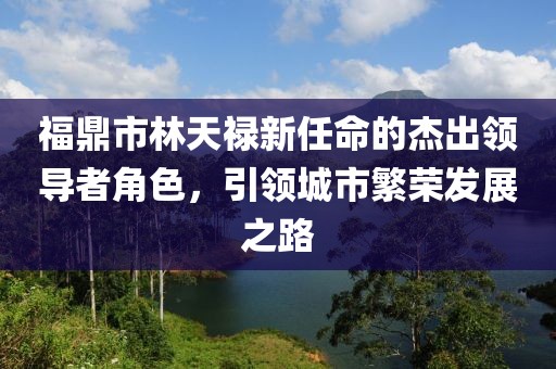 福鼎市林天祿新任命的杰出領導者角色，引領城市繁榮發(fā)展之路