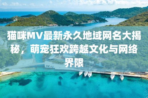 貓咪MV最新永久地域網名大揭秘，萌寵狂歡跨越文化與網絡界限