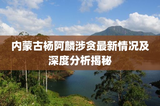 內(nèi)蒙古楊阿麟涉貪最新情況及深度分析揭秘