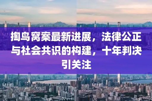 掏鳥窩案最新進展，法律公正與社會共識的構(gòu)建，十年判決引關(guān)注