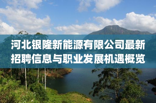 河北銀隆新能源有限公司最新招聘信息與職業(yè)發(fā)展機(jī)遇概覽