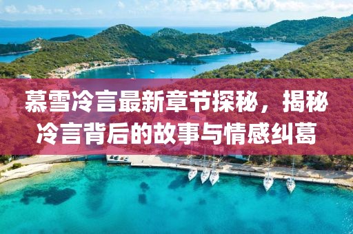 慕雪冷言最新章節(jié)探秘，揭秘冷言背后的故事與情感糾葛