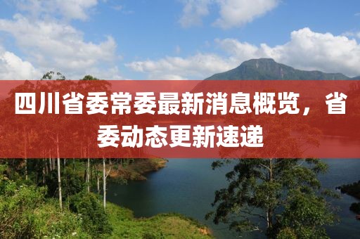 四川省委常委最新消息概覽，省委動(dòng)態(tài)更新速遞