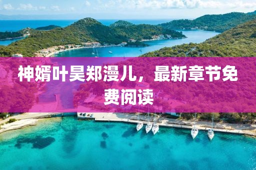 神婿葉昊鄭漫兒，最新章節(jié)免費閱讀