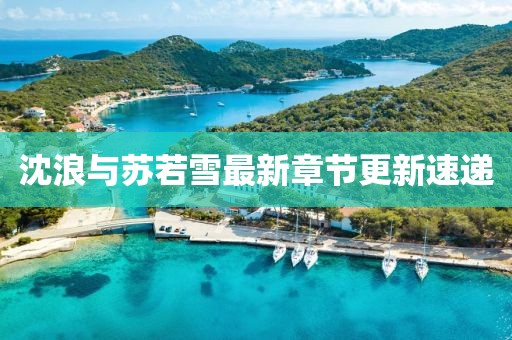 沈浪與蘇若雪最新章節(jié)更新速遞