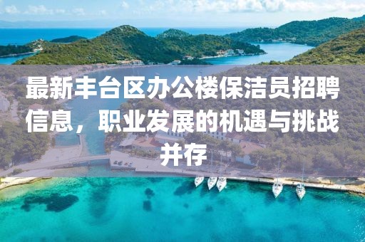 最新豐臺區(qū)辦公樓保潔員招聘信息，職業(yè)發(fā)展的機遇與挑戰(zhàn)并存