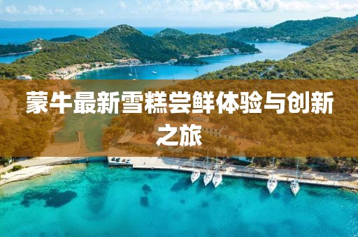 蒙牛最新雪糕嘗鮮體驗(yàn)與創(chuàng)新之旅