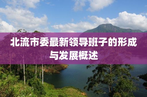 北流市委最新領(lǐng)導(dǎo)班子的形成與發(fā)展概述