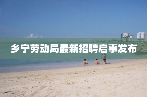 鄉(xiāng)寧勞動局最新招聘啟事發(fā)布
