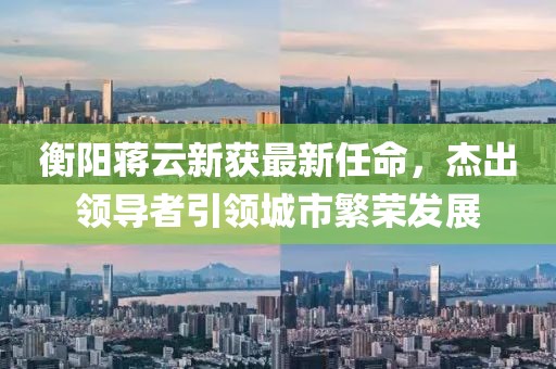 衡陽蔣云新獲最新任命，杰出領導者引領城市繁榮發(fā)展