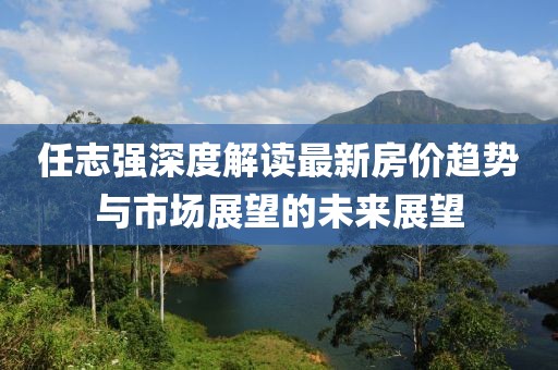 任志強深度解讀最新房價趨勢與市場展望的未來展望