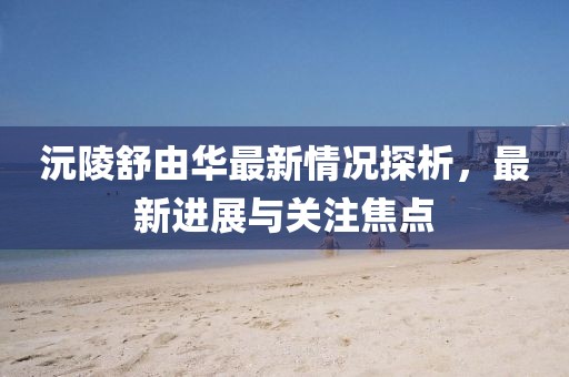 沅陵舒由華最新情況探析，最新進(jìn)展與關(guān)注焦點(diǎn)