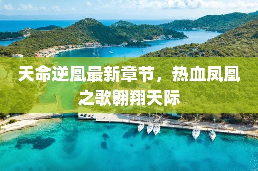 肆戰(zhàn)作王 第20頁