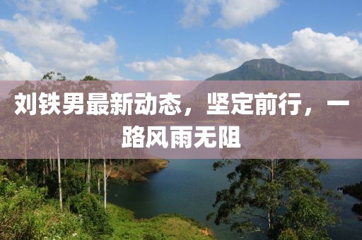 劉鐵男最新動態(tài)，堅(jiān)定前行，一路風(fēng)雨無阻