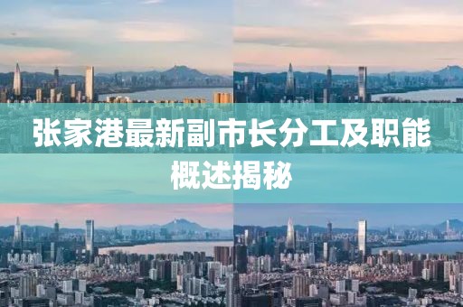 張家港最新副市長(zhǎng)分工及職能概述揭秘