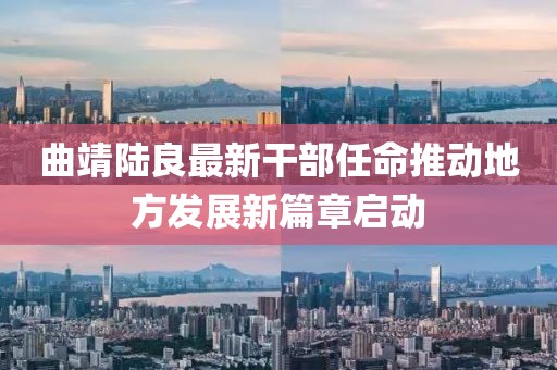 曲靖陸良最新干部任命推動(dòng)地方發(fā)展新篇章啟動(dòng)