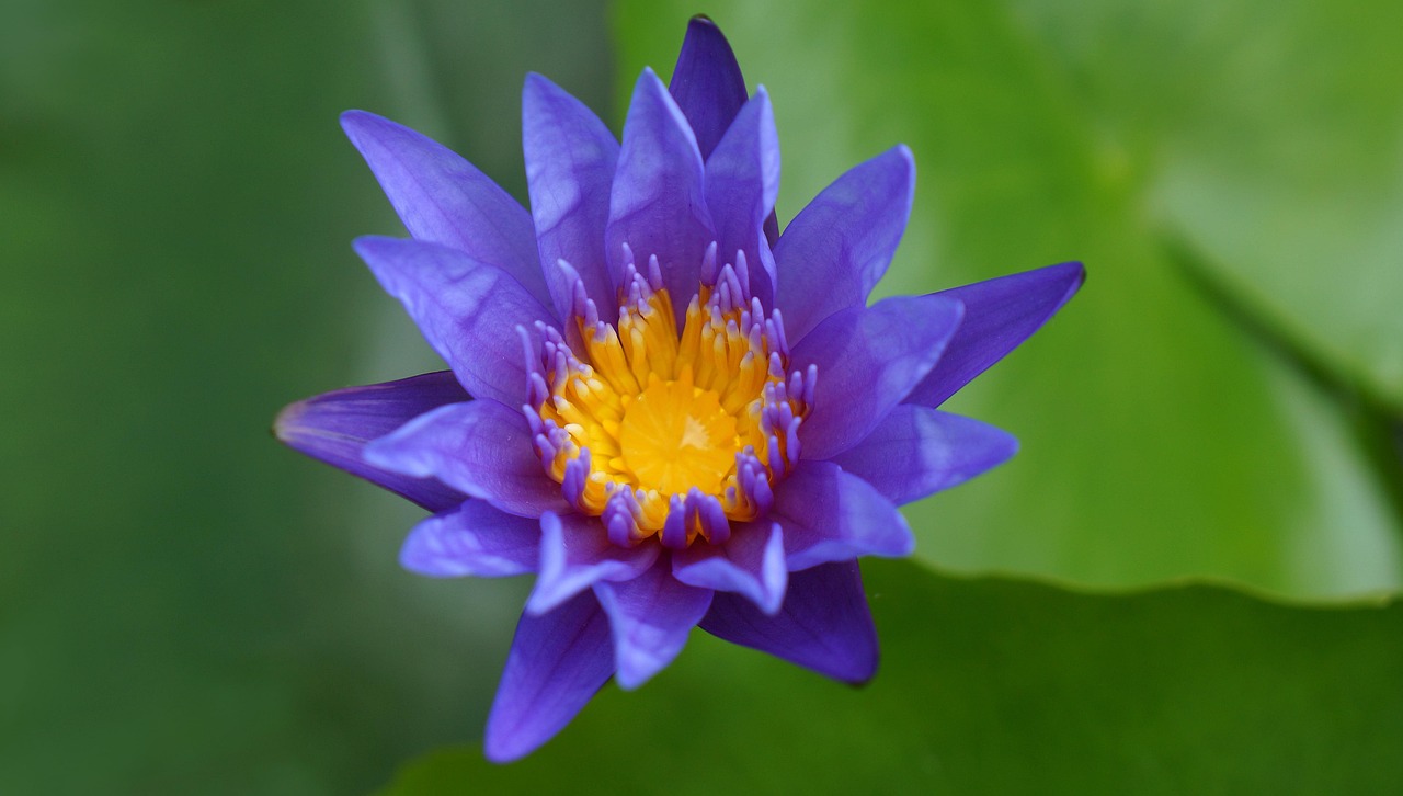 雙陽(yáng)區(qū)火車站邁向現(xiàn)代化，提升服務(wù)質(zhì)量，最新動(dòng)態(tài)報(bào)告