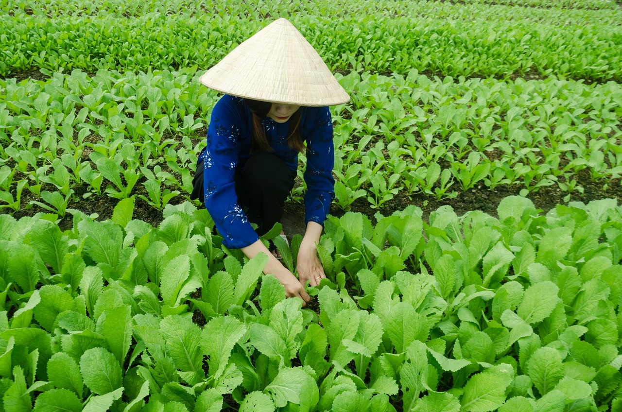 甬金鐵路最新動(dòng)態(tài)，嵊州發(fā)展與鐵路聯(lián)動(dòng)推進(jìn)