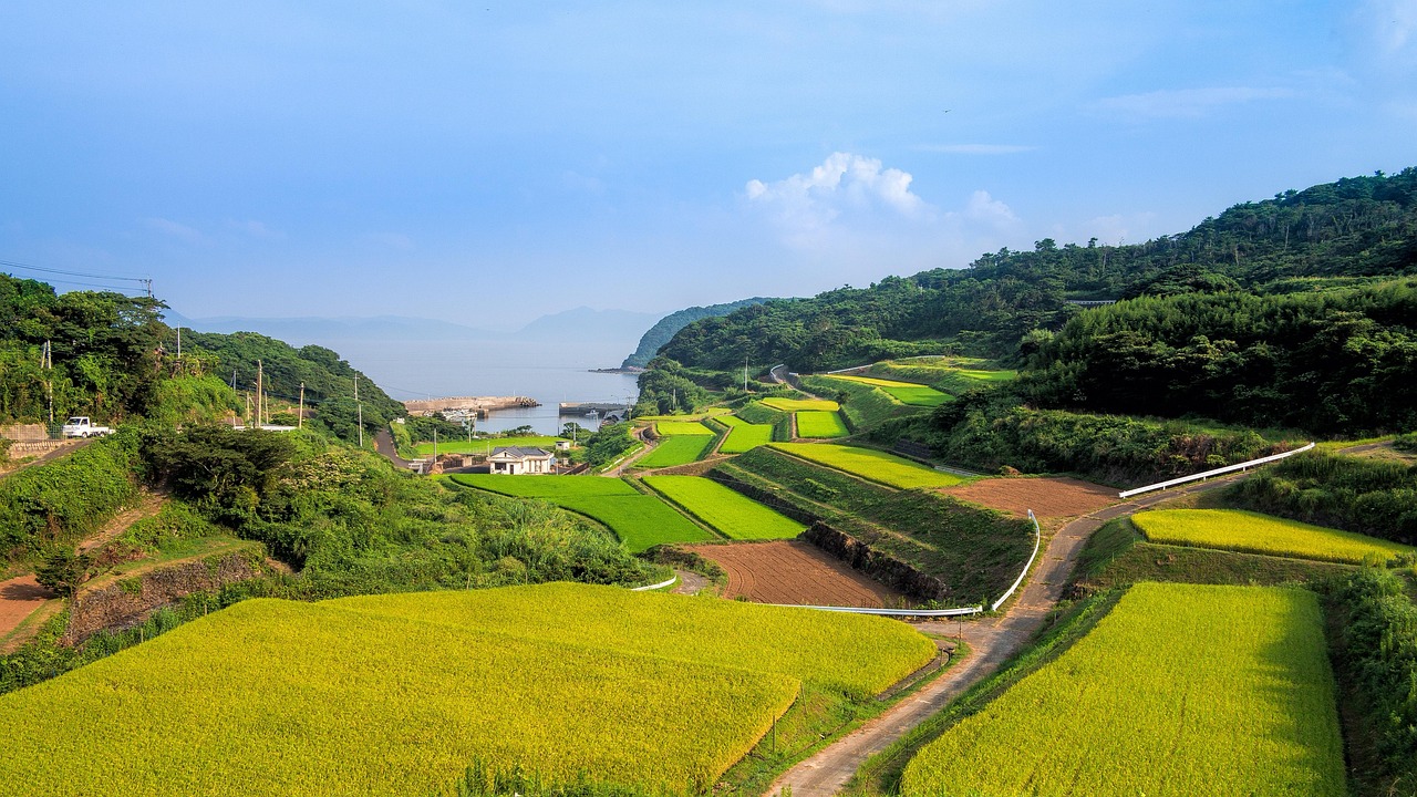 廣西靈山高速建設(shè)進(jìn)展揭秘，最新消息與未來展望