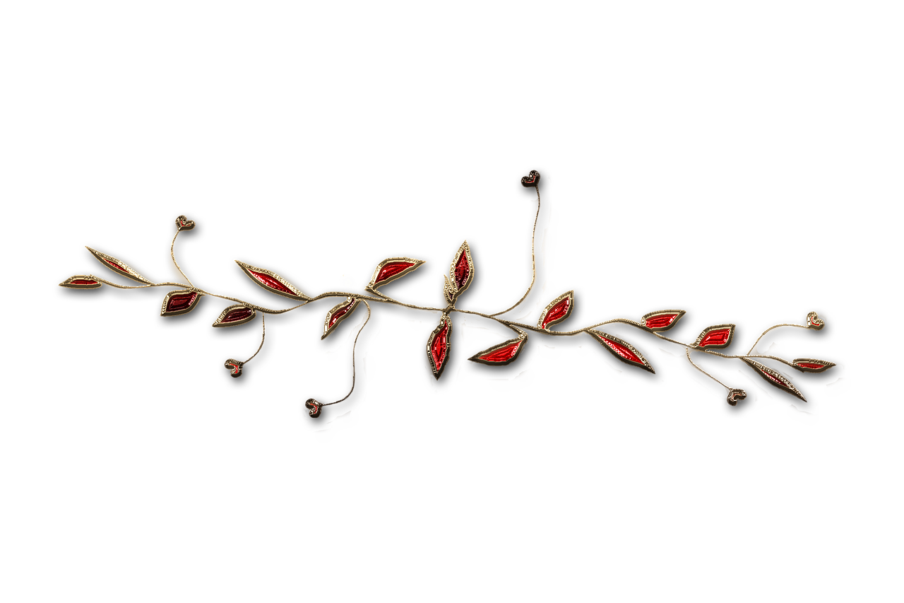 廣西大紅八角產(chǎn)業(yè)蓬勃發(fā)展，前景廣闊，最新消息與動態(tài)